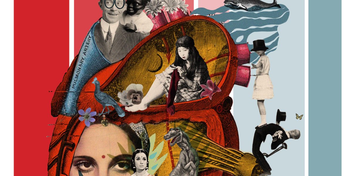 Aurora Gorrión Galeria